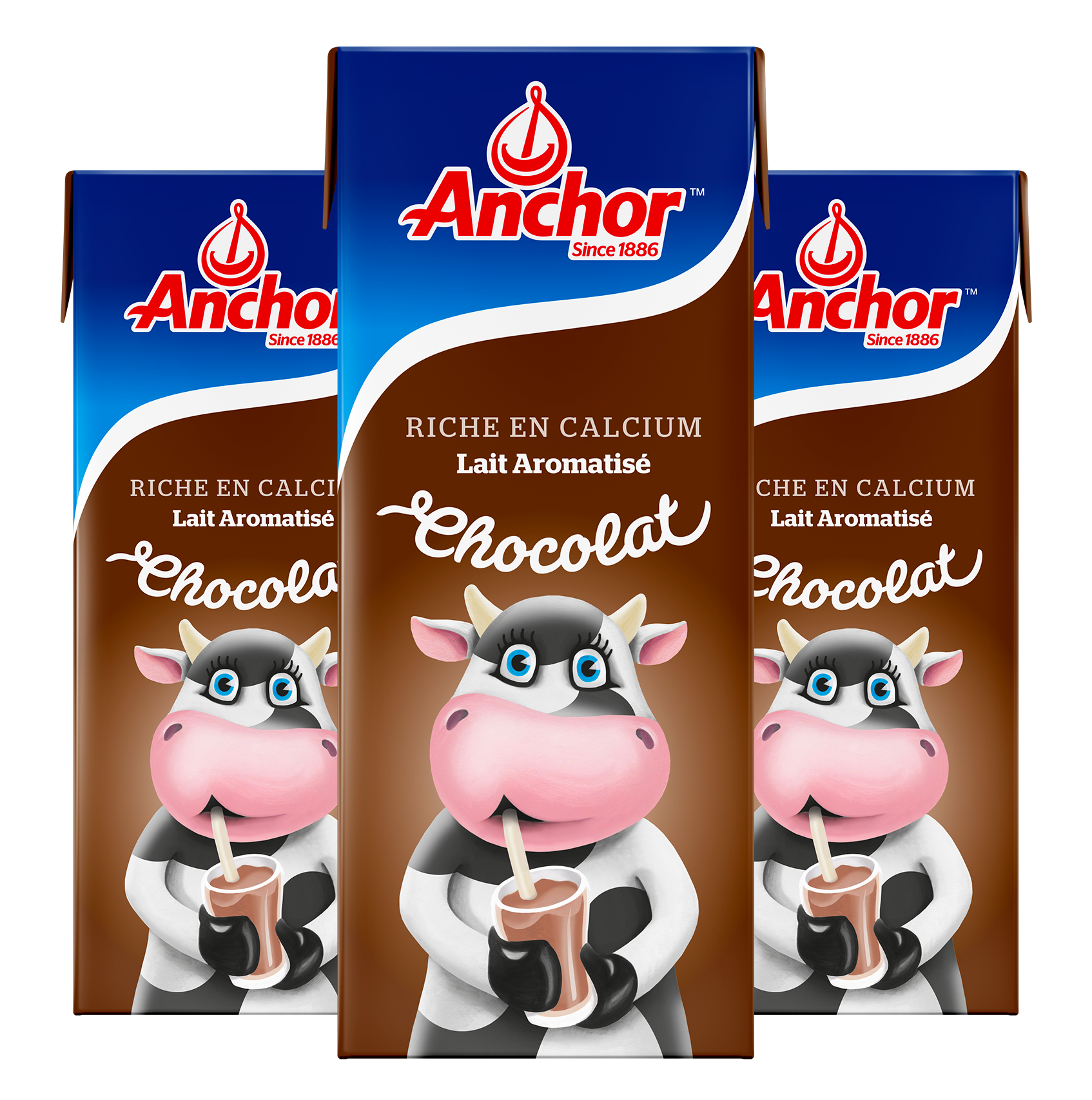 04281 ANCHOR LAIT UHT CHOCO 8x(3x250ml) 04281 ANCHOR LAIT UHT CHOCO 8x(3x250ml)