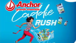 ANCHOR JEU